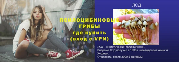 ГАЛЛЮЦИНОГЕННЫЕ ГРИБЫ Нефтегорск