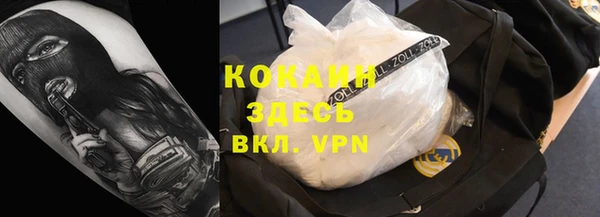 стаф Нея