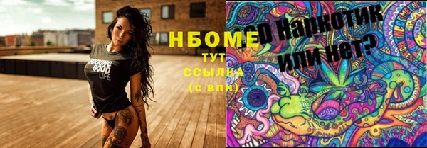 стаф Нея