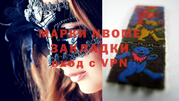 стаф Нея
