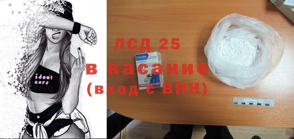стаф Нея