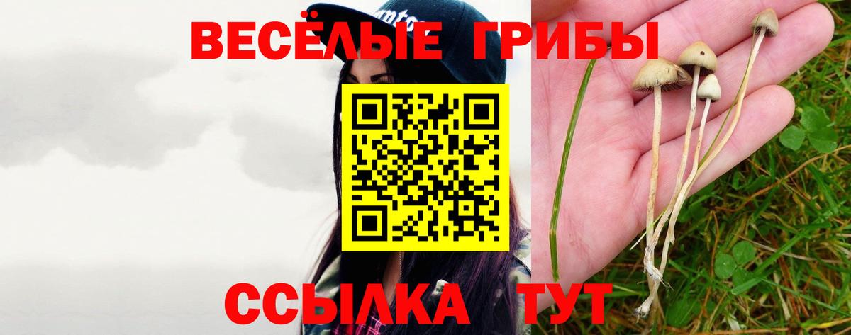 Омск  Галлюциногенные грибы Magic Shrooms  закладки  Вход с VPN  Галлюциногенные грибы мухоморы 